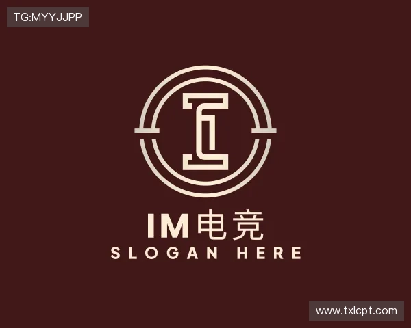 介绍IM电竞